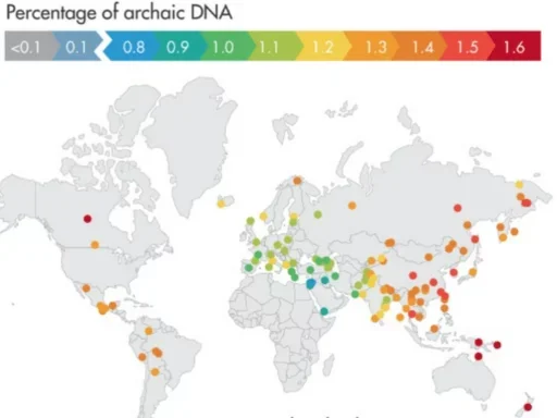 Population genetic inference map